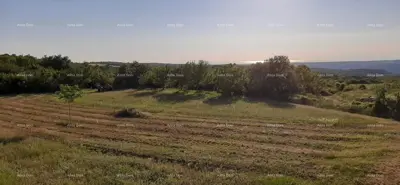 Zemljište 5 530 m², Vižinada - mirno okruženje i pogled - 4