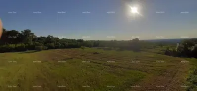 Zemljište 5 530 m², Vižinada - mirno okruženje i pogled - 3