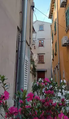 Labin, kuća u starogradskoj jezgri - 15