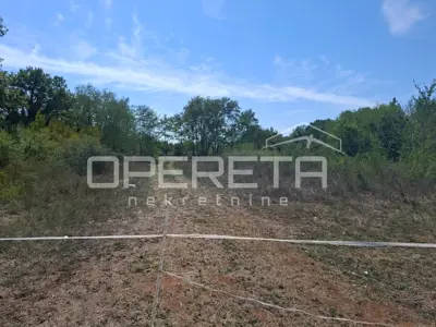 Manjadvorci-rakalj-istra - 2