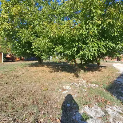 Građevinsko zemljište 2.349 m², Medulin - blizu mora - 6