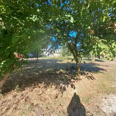 Građevinsko zemljište 2.349 m², Medulin - blizu mora - 3