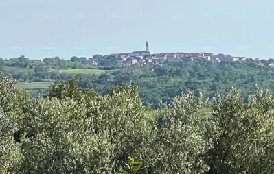 Građevinsko zemljište 551 m², Buje - blizu centra i mora