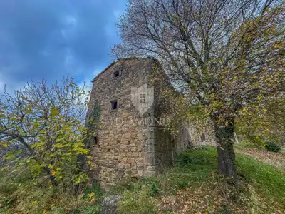 Immobilie 3.500 m², Motovun - Entwicklungspotenzial - 11