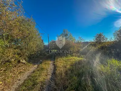 Immobilie 3.500 m², Motovun - Entwicklungspotenzial - 6