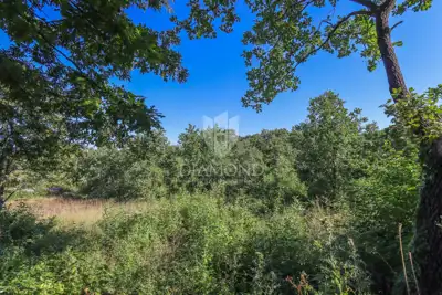 Land 2,248 m², Svetvinčenat - peace and privacy - 4