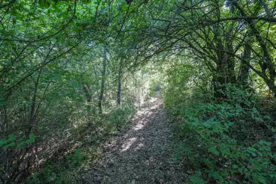 Land 2,248 m², Svetvinčenat - peace and privacy - 3