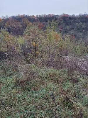 Building plot, Gornji Zamet, electricity and water