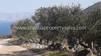 Baugrundstück 16.000 m², Otok Hvar - erste Reihe zum Meer - 3