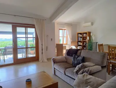 Kuća 115 m², Buje - panoramski pogled i bazen - 11