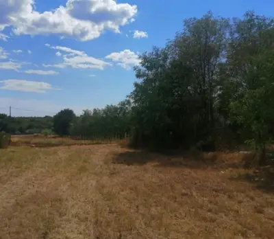 Bauland 3.040 m², Žbandaj, nahe Poreč