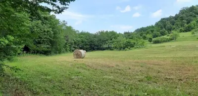 Imanje 5.500 m², Bertoši - mirno prirodno okruženje - 3