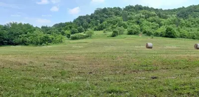 Imanje 5.500 m², Bertoši - mirno prirodno okruženje - 2