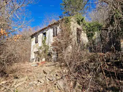 Imanje 5.500 m², Bertoši - mirno prirodno okruženje