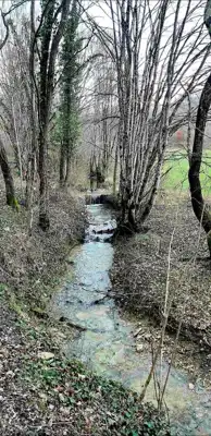 Imanje 5.500 m², Bertoši - mirno prirodno okruženje - 7