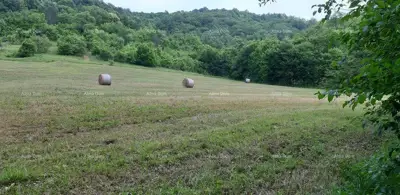 Imanje 5.500 m², Bertoši - mirno prirodno okruženje - 4