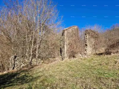 Imanje 5.500 m², Bertoši - mirno prirodno okruženje - 6