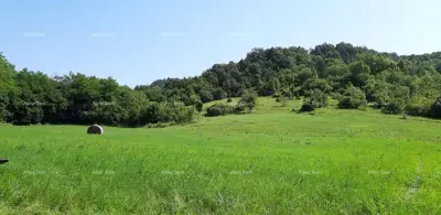 Imanje 5.500 m², Bertoši - mirno prirodno okruženje - 5