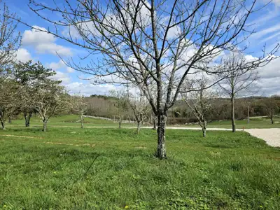 Baugrundstück 1.592 m², Poreč Umgebung - ruhiger Ort - 2
