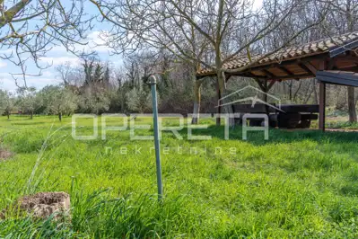 Maslinik 5.437 m², Petrovija - 140 maslina i voda - 9