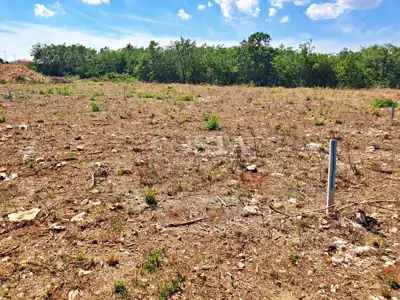Baugrundstück 730 m², Debeljak - ruhige Lage - 4