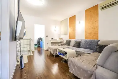 Rovinj surroundings, estate 1,600 m² with two houses and an auxiliary building - 7