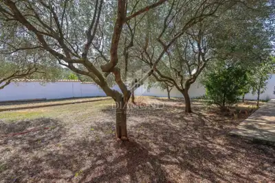 Rovinj surroundings, estate 1,600 m² with two houses and an auxiliary building - 19
