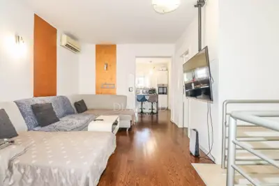 Rovinj surroundings, estate 1,600 m² with two houses and an auxiliary building - 10