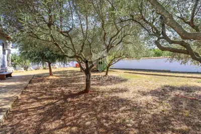 Rovinj surroundings, estate 1,600 m² with two houses and an auxiliary building - 18