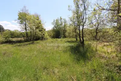 Građevinsko zemlijšte s dozvolom, Grožnjan - 15
