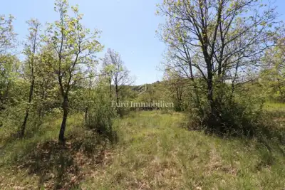 Građevinsko zemlijšte s dozvolom, Grožnjan - 18