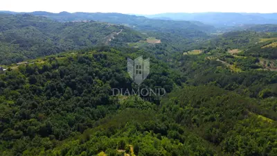 Estate, Cerovlje, 4,050 m² of building land and olive groves - 11