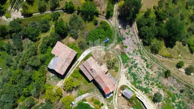 Estate, Cerovlje, 4,050 m² of building land and olive groves - 6