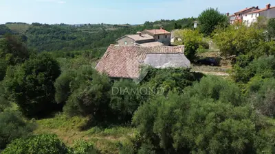 Estate, Cerovlje, 4,050 m² of building land and olive groves - 12
