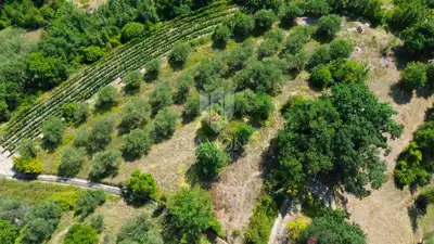Estate, Cerovlje, 4,050 m² of building land and olive groves - 15