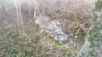 Immobilie in Plaški, ruhige Lage und Obstgarten - 20