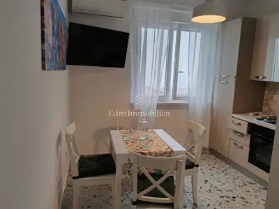 Apartment for rent in Belveder, 55 m² - 2