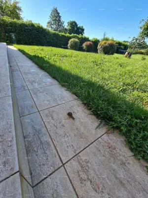 Blizina Ližnjana u malom istarskom mjestu, samostojeća kuća površine 103 m² - 22