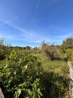 Baugrundstück, Kožino - an der Hauptverkehrsstraße und gemischte Nutzung - 5