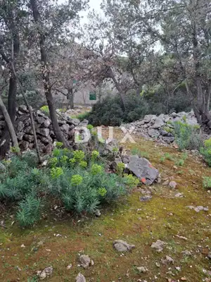 Landwirtschaftliches Grundstück, Punta Križa - am Meer und mediterranes Grün - 3