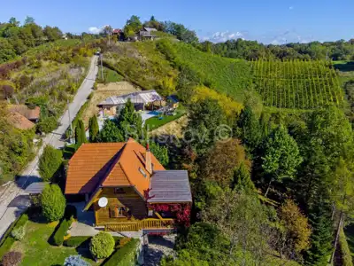 Gornja Voća, samostojeća kuća, bazen, vrt - 5
