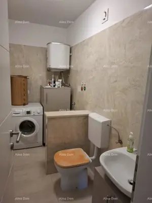 Apartman 75 m², Tar-Vabriga - prizemlje i vrt - 6