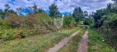 Zemljište 5.590 m², Žminj - građevinsko i poljoprivredno - 2