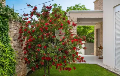 Haus zum Kauf in Rovinj, 300 m² - 11