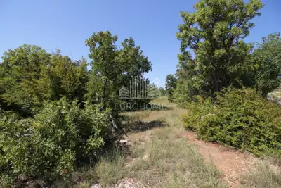 Building plot, Maslenica, 510 m², asphalt access - 4