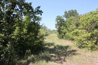 Building plot, Maslenica, 510 m², asphalt access - 3
