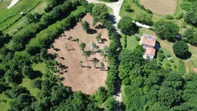 Bauland 784 m², Barban - leichte Hanglage und Aussicht - 3