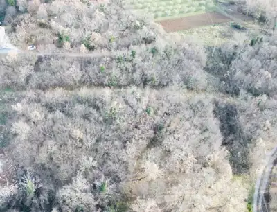 Land plot for sale in Poreč