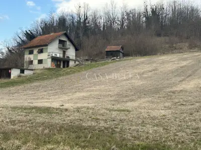 Kuća 30.000 m², Mala Erpenja - prostrana okućnica i šuma - 13