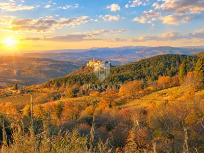 Building land in Motovun, panoramic views and peace - 6